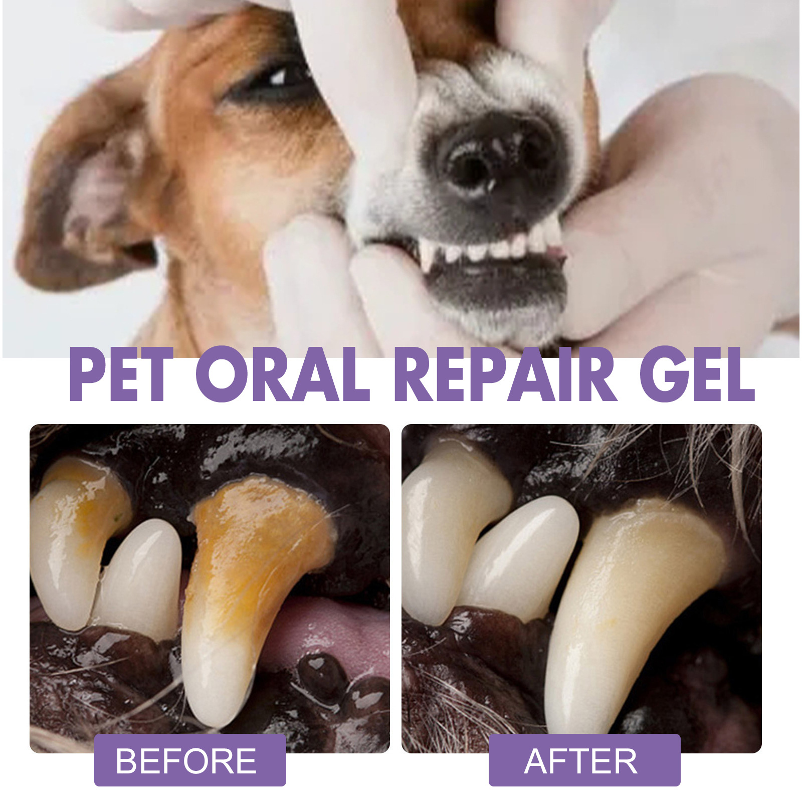 Pet Oral Repair Gel Puppy Tart - Teeth Whitening Ai ulasan dan harga