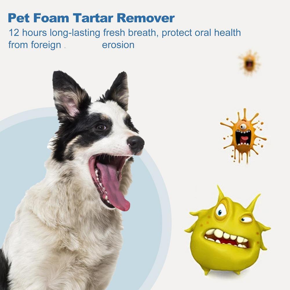 60ml Pet Oral Care Foaming Cle - Teeth Whitening Foam ulasan dan harga