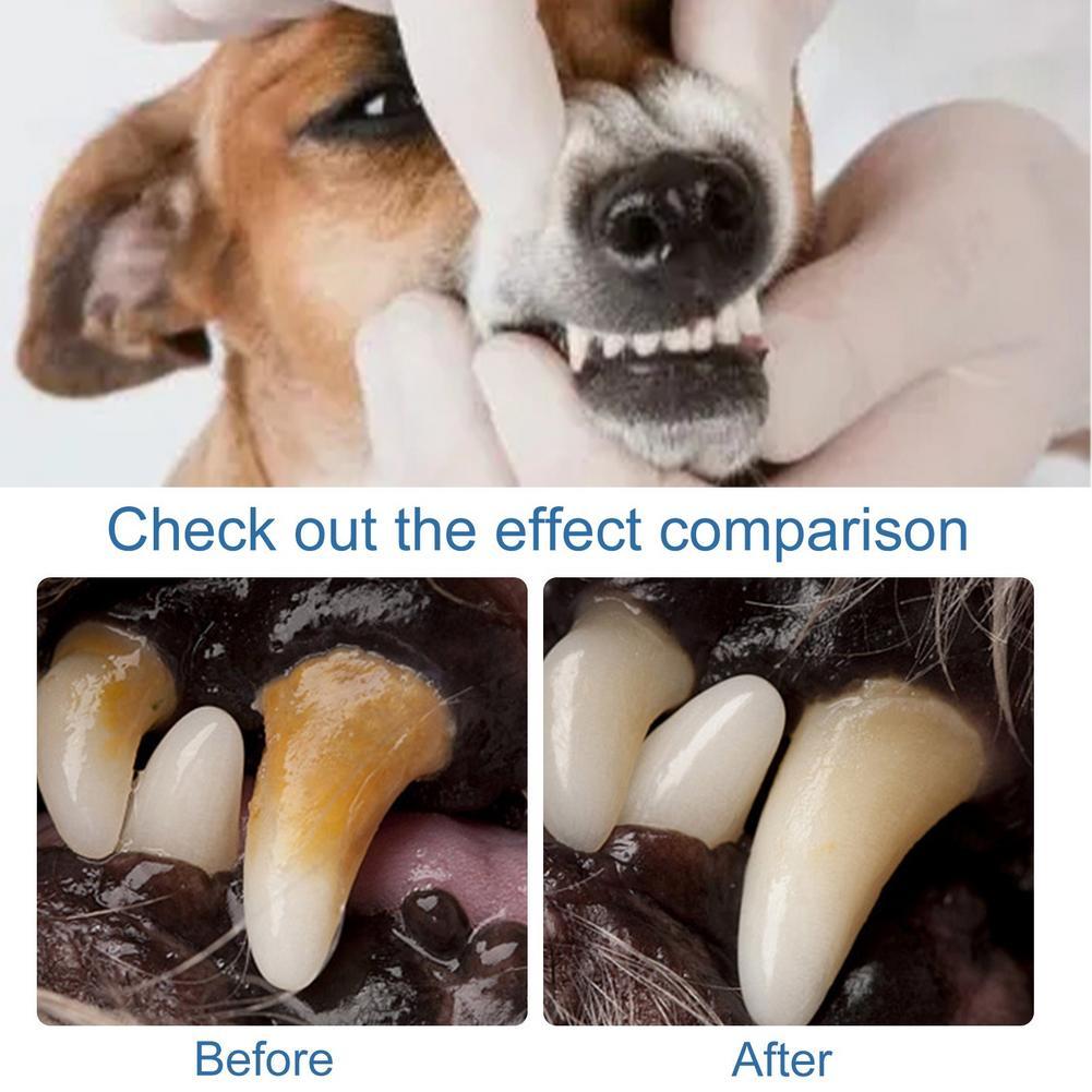 60ml Pet Oral Care Foaming Cle - Teeth Whitening Foam ulasan dan harga